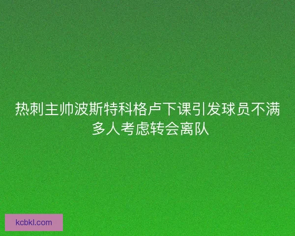 热刺主帅波斯特科格卢下课引发球员不满 多人考虑转会离队